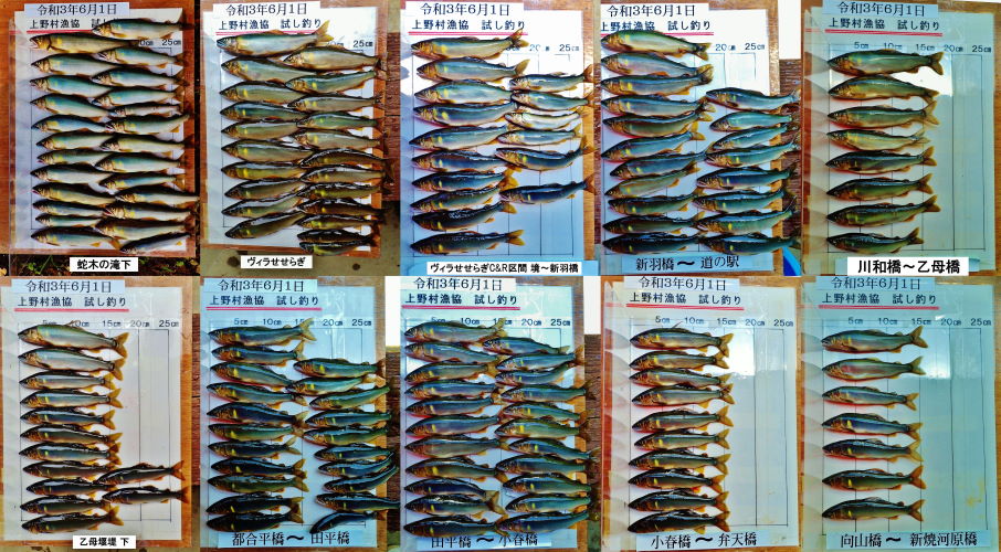 鮎友釣り 上野村漁業協同組合